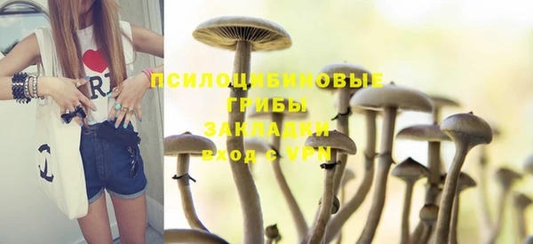 эйфоретик Верхний Тагил