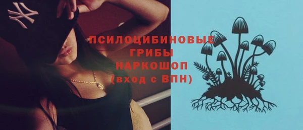 эйфоретик Верхний Тагил
